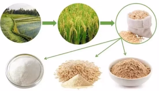 Suplemento Alkannin 99% Pó Cru com Melhor Preço Alkannin Nutrition Ingredientes ISO GMP