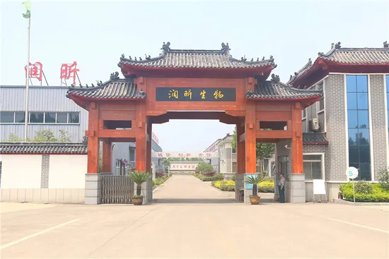 Pó de colágeno de base marinha de Taiwanmei Pó de proteína de colágeno com sabor de fábrica da China contém fator hidratante natural Suplemento de peixe com pele de bacalhau